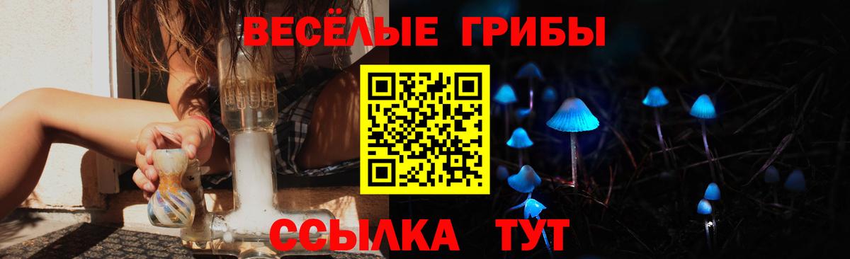 Псилоцибиновые грибы Cubensis Ступино